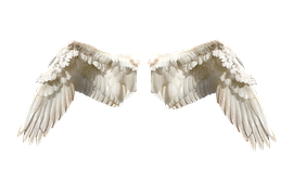 angel wings